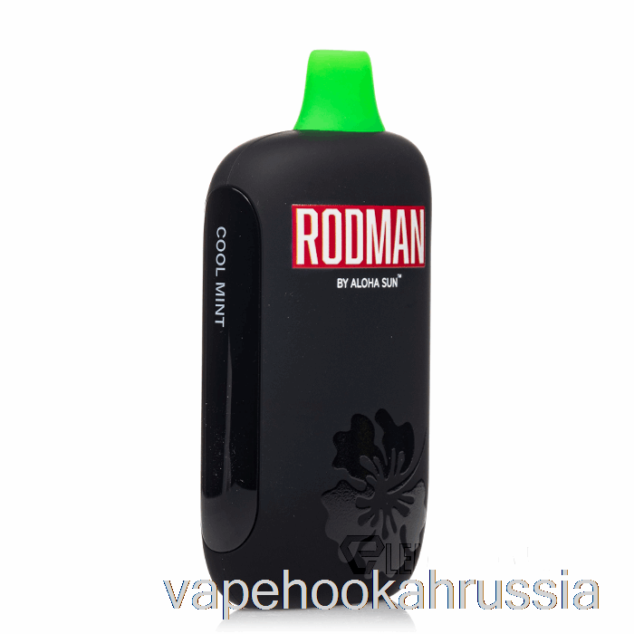 Vape Russia Rodman 9100 одноразовый крутой мятный